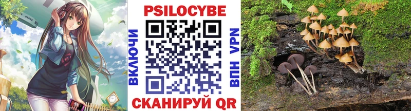 Псилоцибиновые грибы GOLDEN TEACHER  купить наркотики сайты  hydra маркетплейс  Новотроицк 