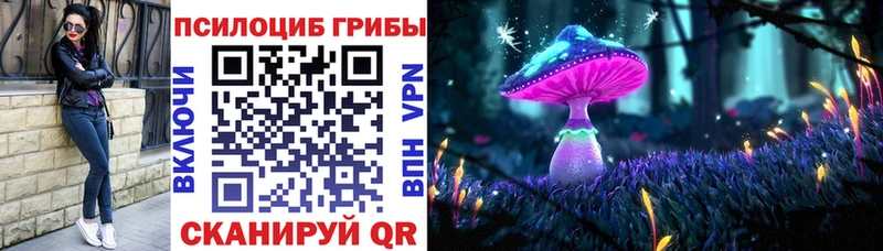 Галлюциногенные грибы Psilocybine cubensis Новотроицк